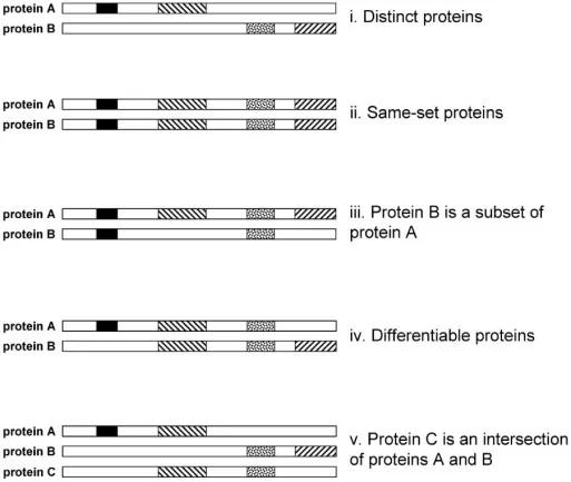 Principle of protein inference showing parsimony-based protein group construction from shared peptides